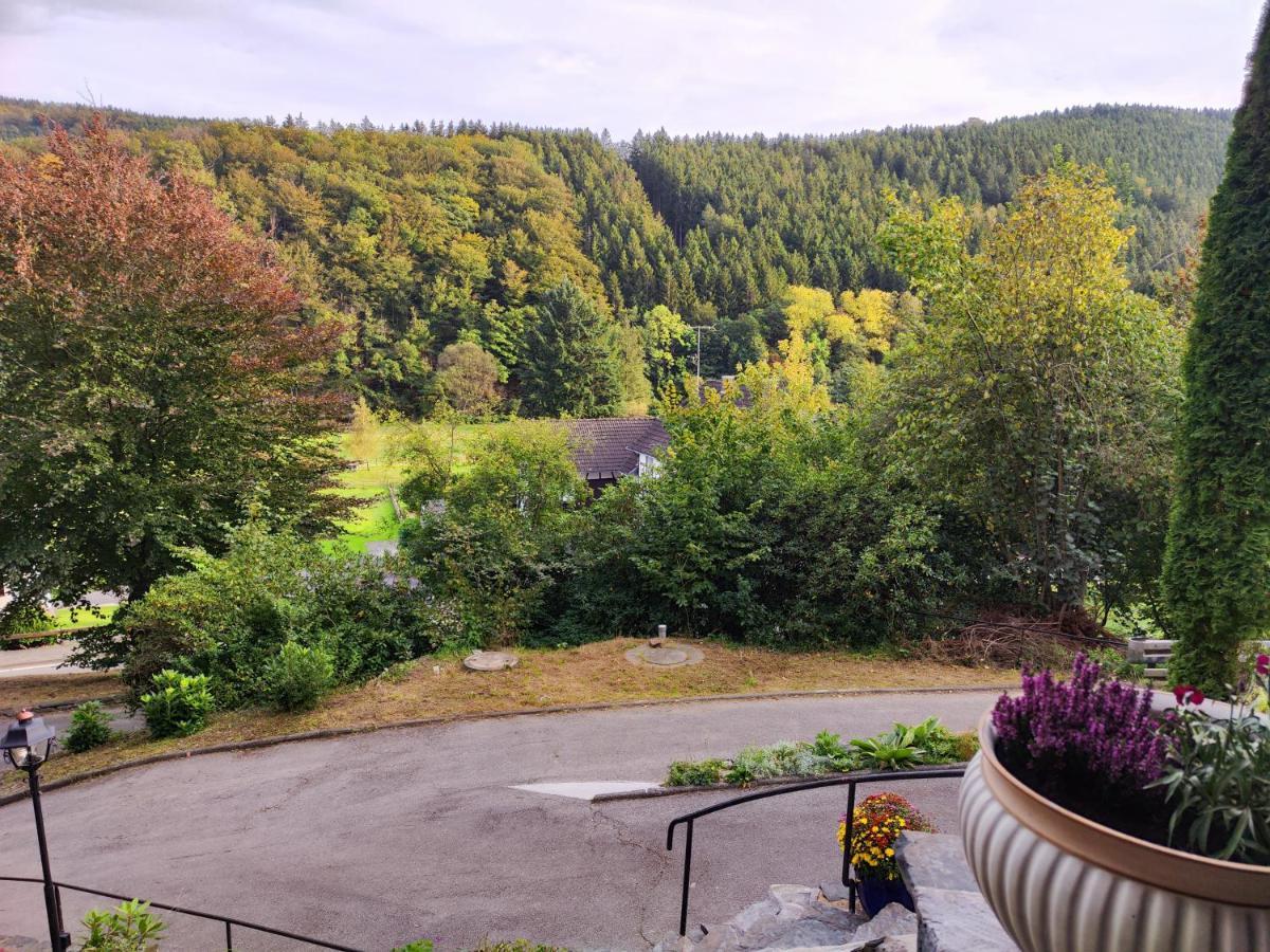 Wohlfuehloase Eifelsteig Villa Simmerath Eksteriør bilde